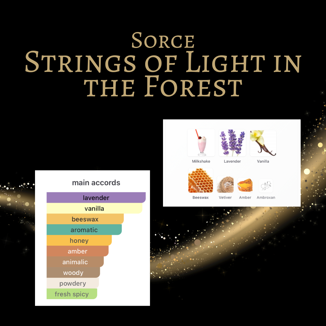 Sorce Strings of Light in the Forest