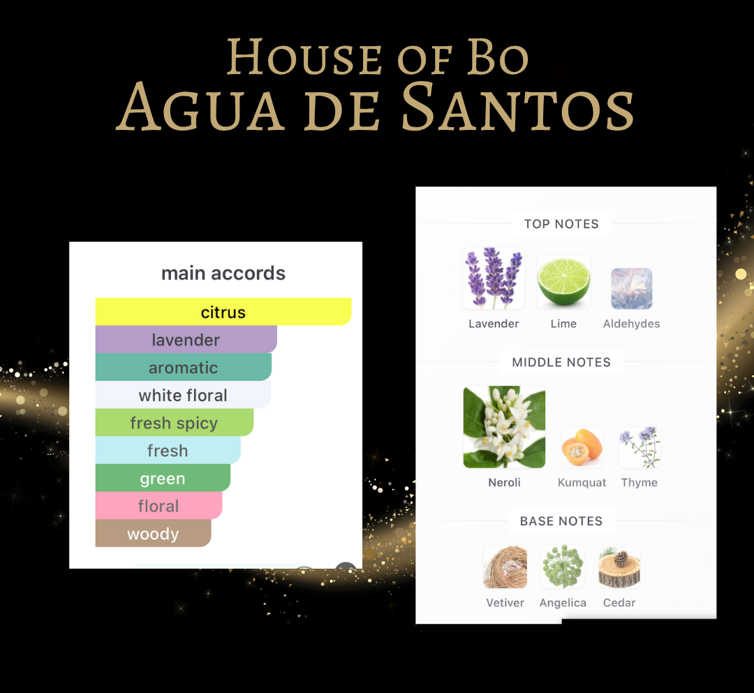 House of Bo Agua de Santos