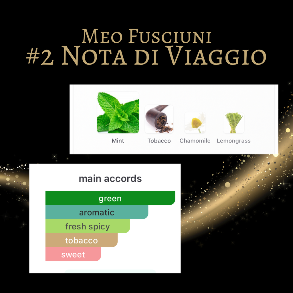 Meo Fusciuni #2 Nota Di Viaggio