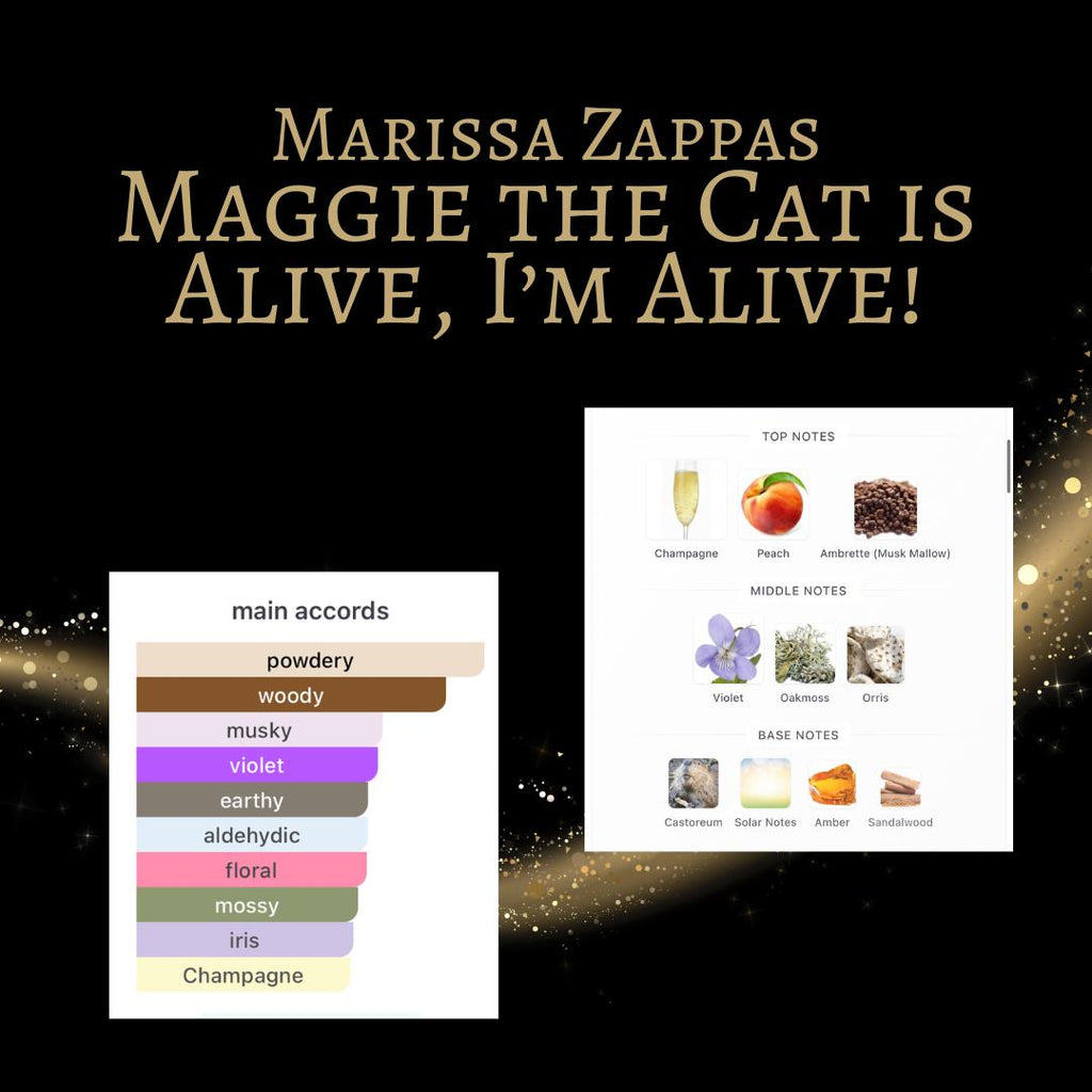 Marissa Zappas Maggie the Cat is Alive, I'm Alive!