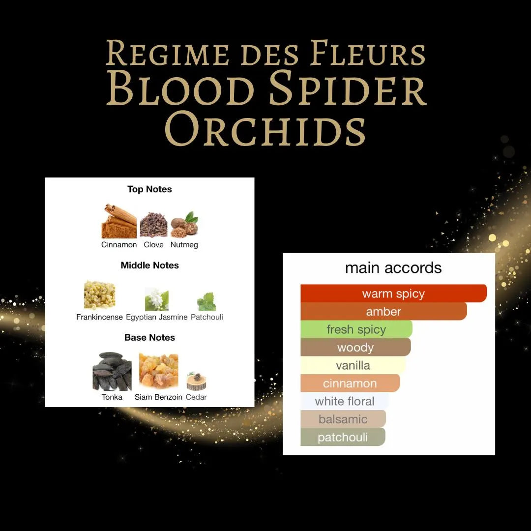 Regime des Fleurs Blood Spider Orchids